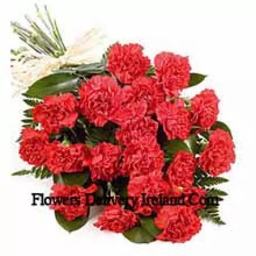 A Beautiful Bunch Of 25 Red Carnations With Seasonal Fillers