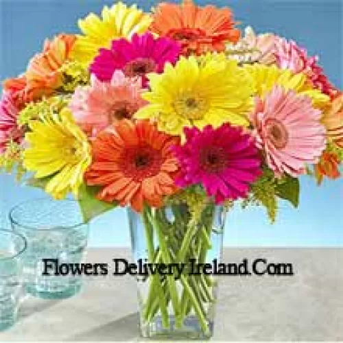 25 Mixed Colored Gerberas With Some Ferns In A Glass Vase