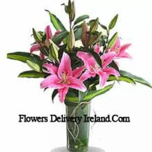 Pink Colored Lilies In A Vase