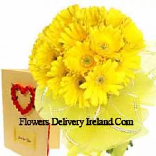 Bunch Of 19 Yellow Gerberas With A Free Love Greeting Card