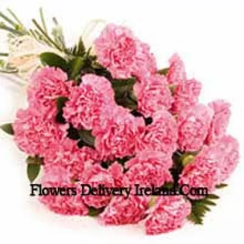 Bunch Of 25 Pink Carnations